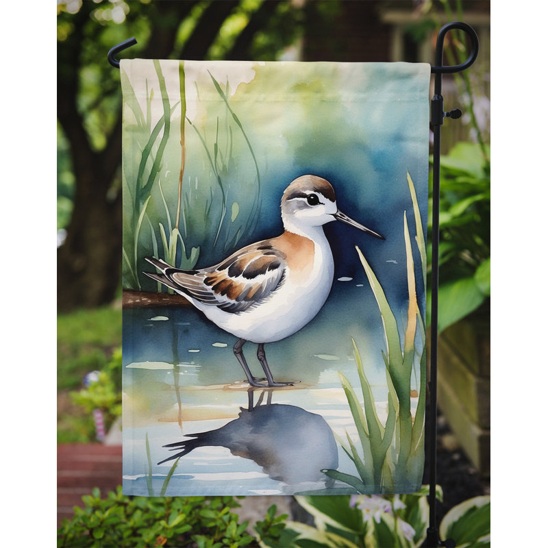 Drapeau de jardin Surfbird Bird, Phalarope de Wilson