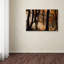 « automne light », reproduction de photo sur toile tendue-23530339