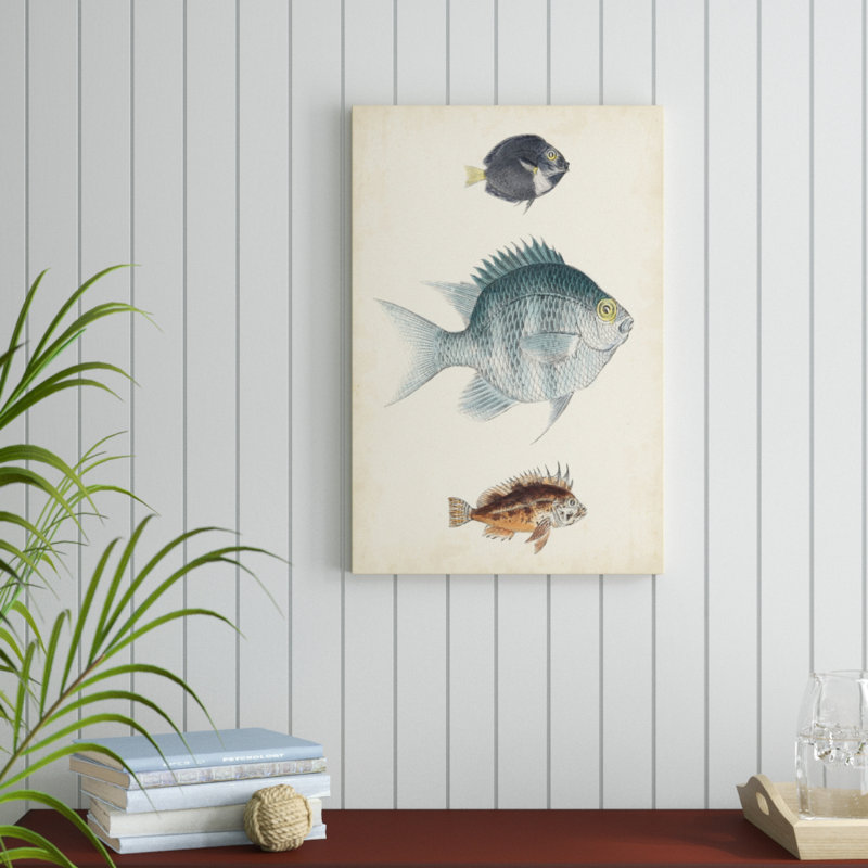 Antique Fish Species III - Painting Print, 76cm H x 51cm W, Wrapped Canvas