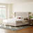 Breckin Upholstered Wingback Bed-497067562-497067568
