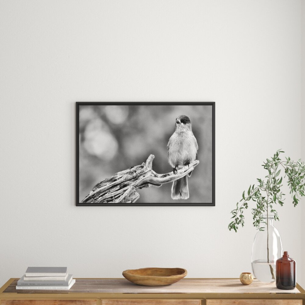 Gerahmtes Wandbild kleiner Vogel auf Ast