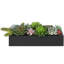 12.7cm Artificial Succulent in Planter