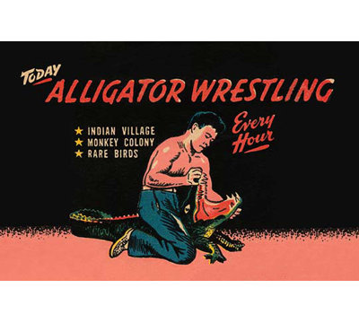 " Alligator Wrestling "
