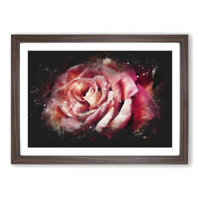 Pink Rose Flower Vol.4 - Picture Frame Graphic Art, Walnut Framed, 48cm H x 65cm W x 2cm D