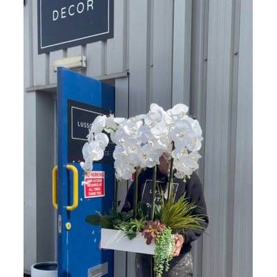 Kunstpflanzen-Arrangement Orchidee im Topf