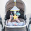 Pram Mobile