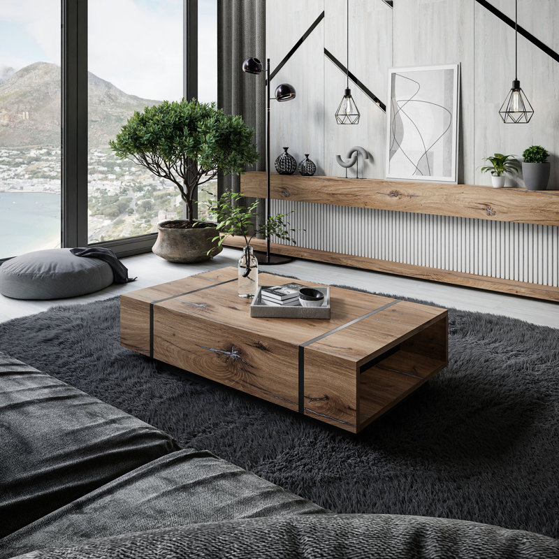 Schueler Coffee Table with Storage