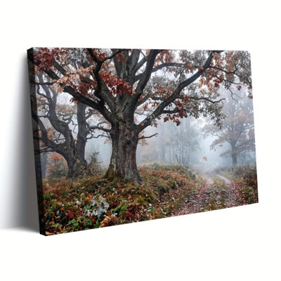 Ancient Oak Tree in Misty Autumn Forest Canvas Art, Wrapped Canvas, Ready to Hang