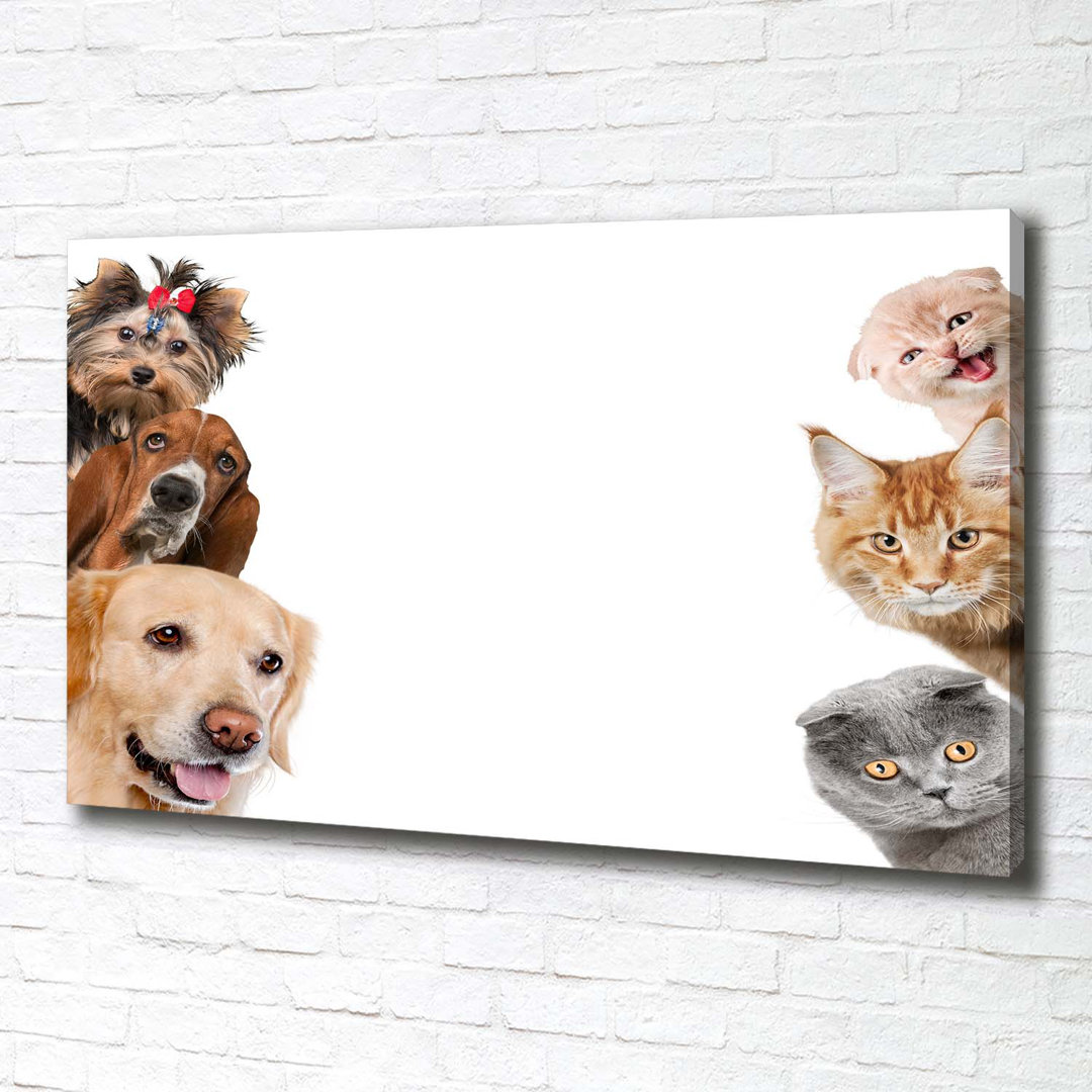 Hunde und Katzen - Kunstdrucke auf Leinwand - Wrapped Canvas