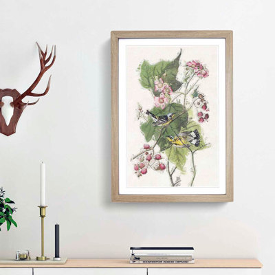 Black & Yellow Warbler Birds by John James Audubon - Picture Frame Painting Print