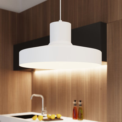 1 - Light Stainless Steel Pendant