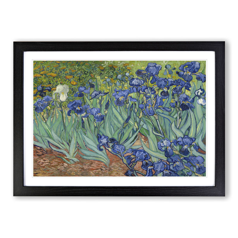 Irises by Vincent Van Gogh - Picture Frame Painting, 65cm H x 90cm W x 2cm D, Black