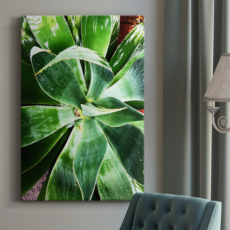 «Green Tropcal Succulent», impression sur toile tendue, L 12 po x H 18 po