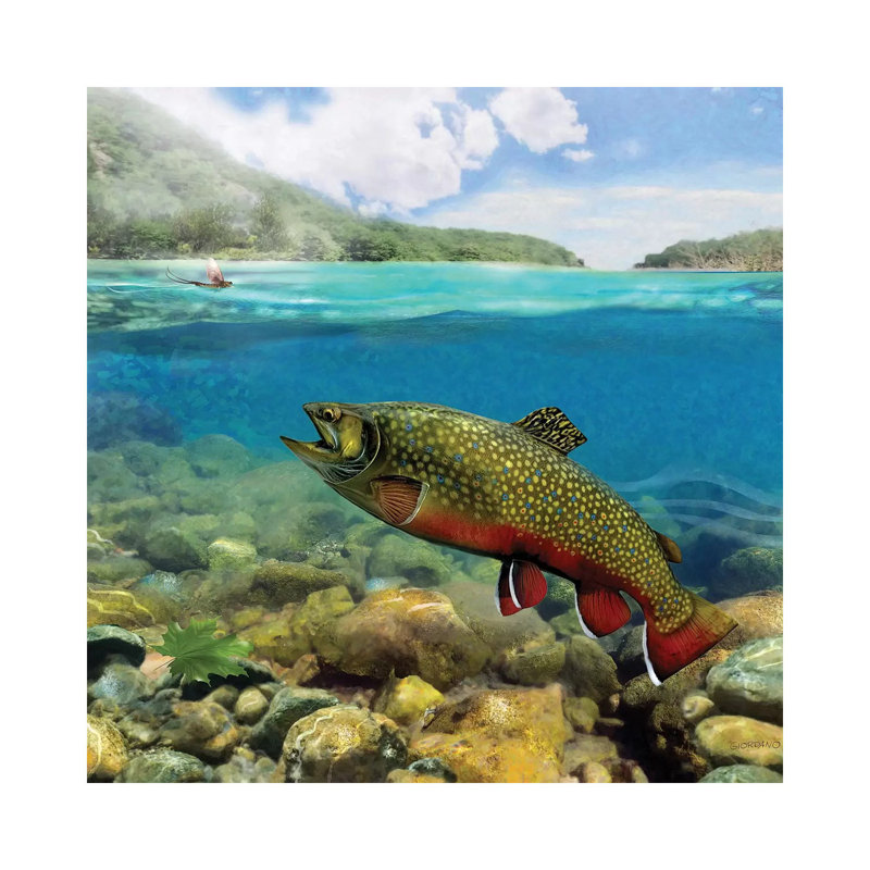 Brookie on the Riffle 1 Piece Wrapped Canvas Wall Art, 30.48 cm H x 30.48 cm W