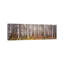 Silver Birch Trees In A Forestnarke, Sweden - Wrapped Canvas Panoramic Print-507859478-450931267