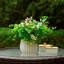 Herbe d'eucalyptus 11 po dans un vase