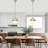 1-Light Single Globe Dimmable Pendant Light