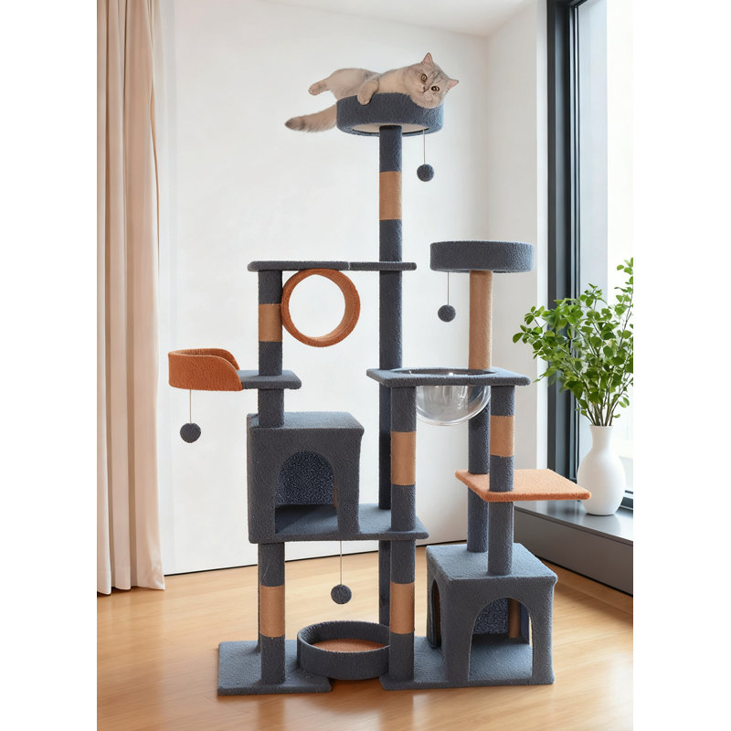Structure d'escalade pour chat 63,78 pouces