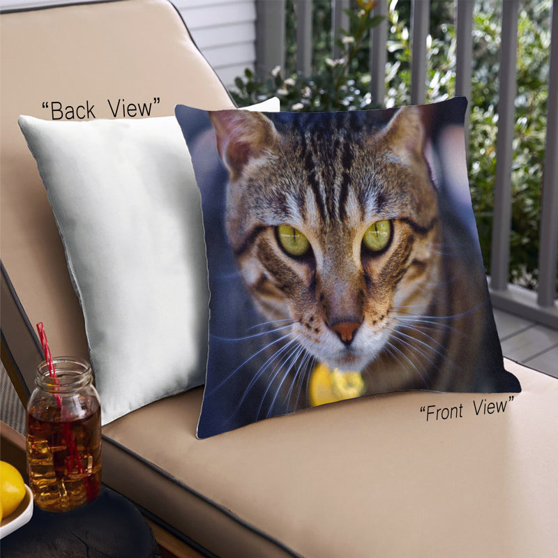 Coussin Cat Cats 55, Microsuède