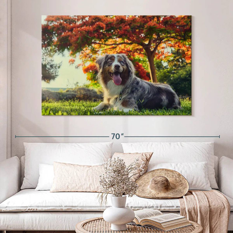 Cherry Border Collie, 34" H x 51" W