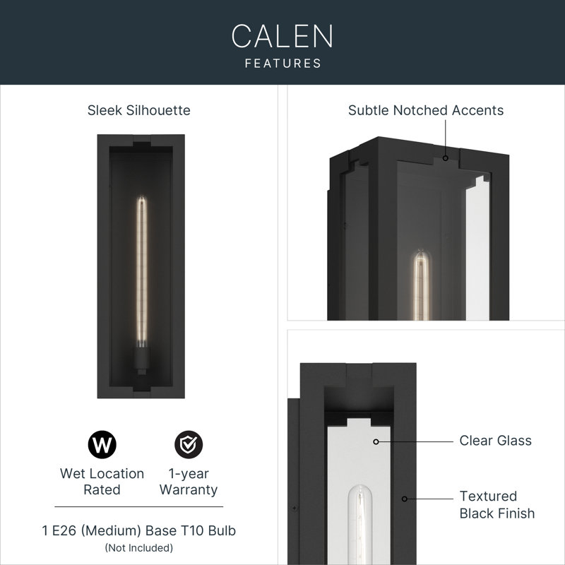 Calen 24.25" 1-Light Outdoor Wall Light with Clear Glass in Textured Black, 24.25" H x 8" W x 6" D