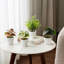 4 - Piece Artificial Fir Plants in White Pot Set