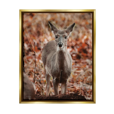 «Fawn In Autumn Nature» par Dakota Diener