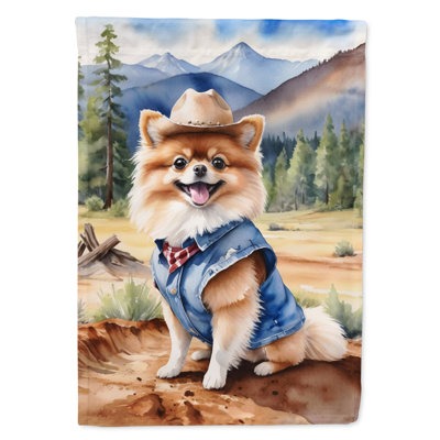 Drapeau Cowboy Welcome House
