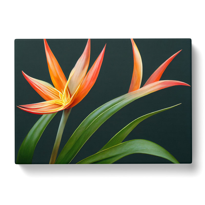 The Bird Of Paradise Flower Vol.3 - Wrapped Canvas Print, 35cm H x 50cm W x 3cm D