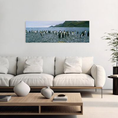 Colony of King penguins on the beach South Georgia Island Antarctica 1 Piece Wrapped Canvas Panoramic Wall Art