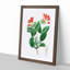 Honeysuckle Flower - Picture Frame Painting Print-55580211-55580214