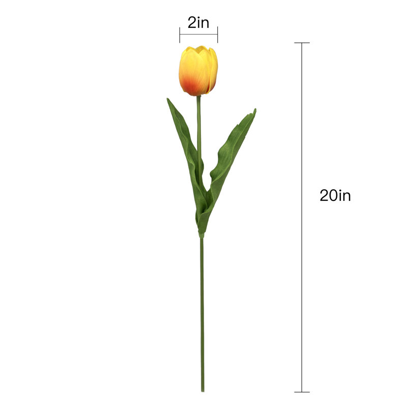 Tiges de tulipes, Orange