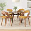 Upholstered Side Chairs with Padded Back-1037063633
