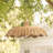 Aurelia Outdoor Rattan Pendant Light - 24" Natural Large Dome 1-Light Polished Handwoven Dimmable Hanging Light For Patio & Porch in Coastal, Farmhouse, Country & Rustic Style-237534284-237534259