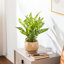 Ceramic Pot Planter-534234029-534234028