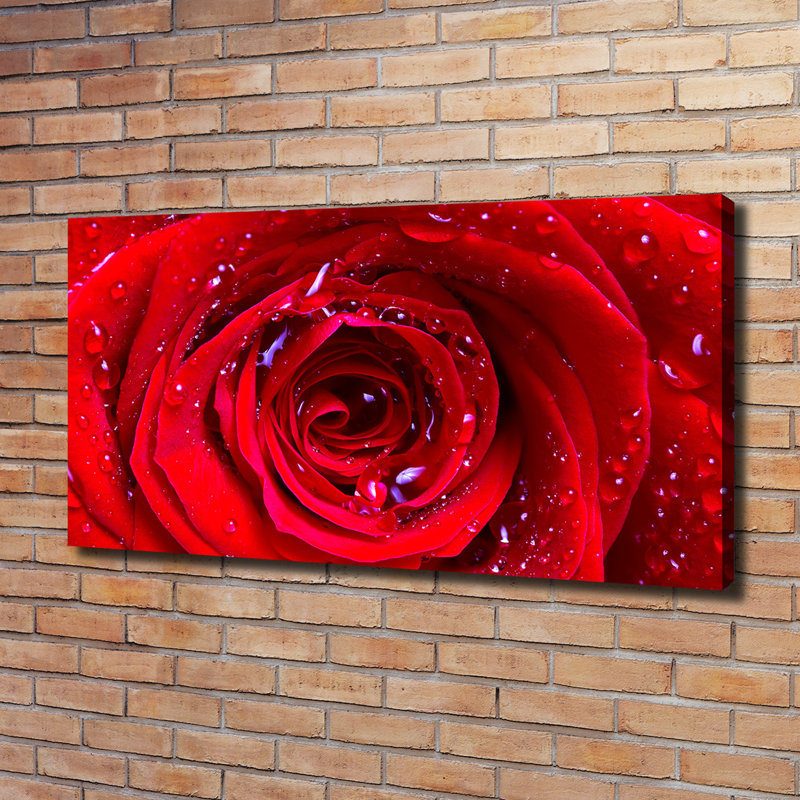 Rose Flower - No Frame Print on Canvas