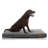 Johnone Orthopedic Memory Foam Pet Bed-32479361-32479363