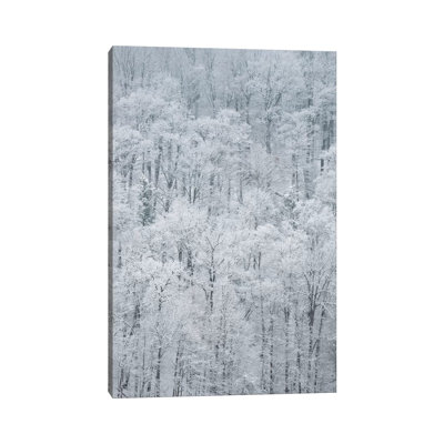 USA, New York State. Snow covered trees, Green Lakes State Park 1 Piece Wrapped Canvas Wall Art