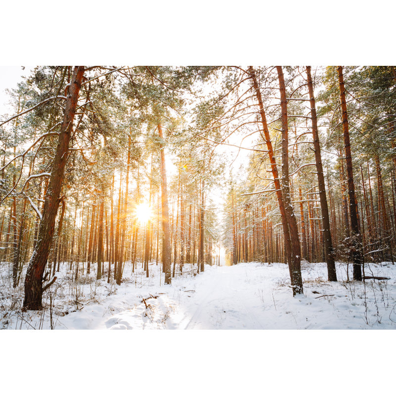 Beautiful Snowy Landscape - Wrapped Canvas Print, 30cm H x 46cm W x 3.8cm D
