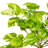 25" Artificial Manjula Pothos Bush