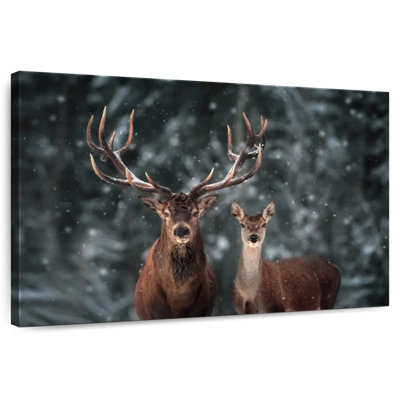 Couple de cerfs