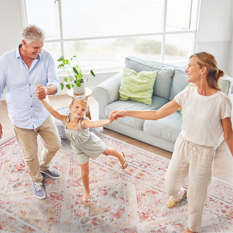 Washable Rug Area Rug, Rectangle 5' x 8'
