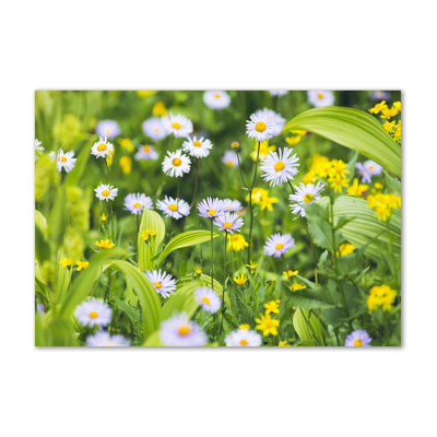 Daisies - Wrapped Canvas Print