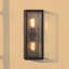 Dixon 2-Light Outdoor Flush Mount