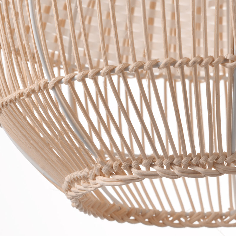 Carolus Dome Pendant Light, 1 Light