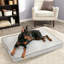 Coussin Pet-61797617