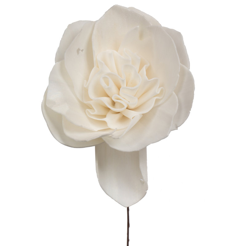 Fleur de gardénia séchée naturelle 4 po Vickerman sur tige métallique de 12 po - 12 tiges
