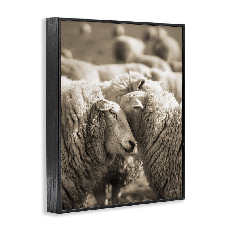 «Hugling Sheep in Flock», estampe numérique, conception de Martin Podt, H 14 po x l 11 po, Giclée encadrée noir minuit
