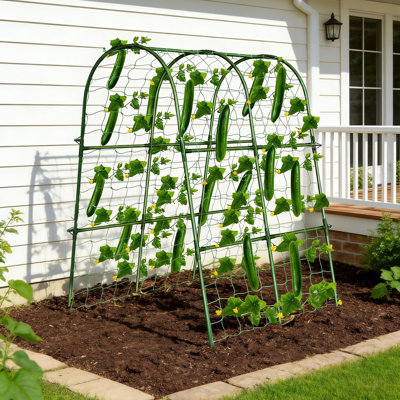 Treillis de jardin d'escalade pour plantes grimpantes