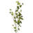 Castor Arrangement